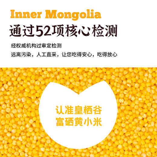 皇栖谷富栖黄小米扎赉特旗产浓稠辅食金黄米粥 商品图3