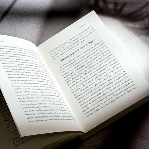 兰波与现代性 李建英 解读超现实主义诗歌鼻祖法国著名诗人兰波 六点图书 商品图9