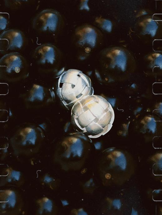 LS｜Fruition Earrings 浆果耳环 [ 金 / 银 ]【Botanicalia 】 商品图9