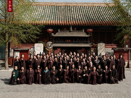 梅花泪mv 商品图0