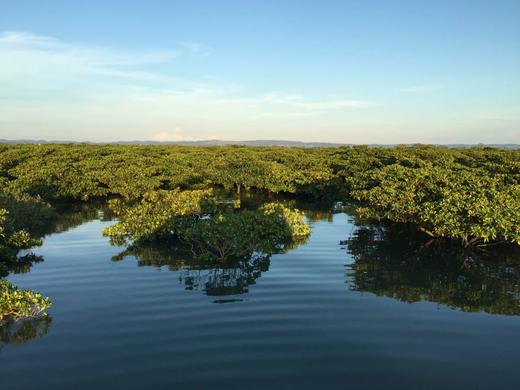 【寒假亲子】广西崇左,住五钻,白头叶猴\出海找粉海豚\自选观鲸\中越瀑布\原始森林徒步\探洞|5~15岁亲子 商品图2