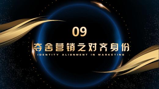 第9章  夺舍营销之对齐身份 商品图0