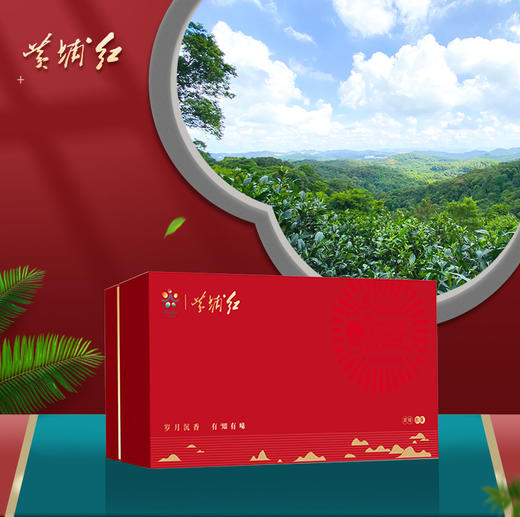 黄埔红·红茶山韵礼盒 散茶5克*20包/100克/盒 商品图0