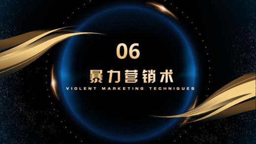 第6章  暴力营销术 商品图0