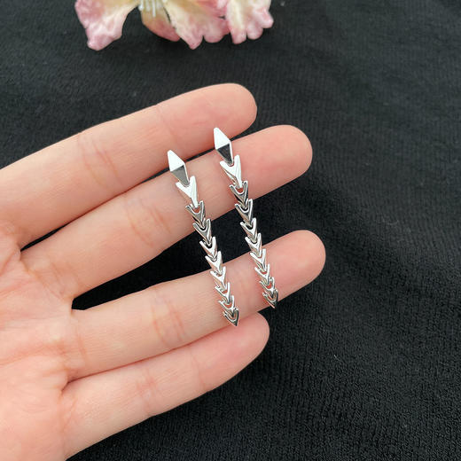 【限时8.8折】【线上铂金馆】PT950 #蛇思妙想 【国际铂金协会】铂金蛇思妙想蛇骨生肖蛇年灵蛇流苏耳吊(BES00179)预售产品下单后不退款不退货不换货不补差价) 商品图2