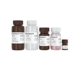 One-Step PAGE Gel Fast Preparation Kit (15%)