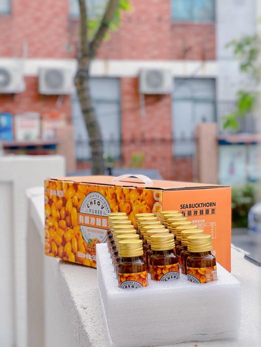 森林果园有机沙棘原浆 商品图2