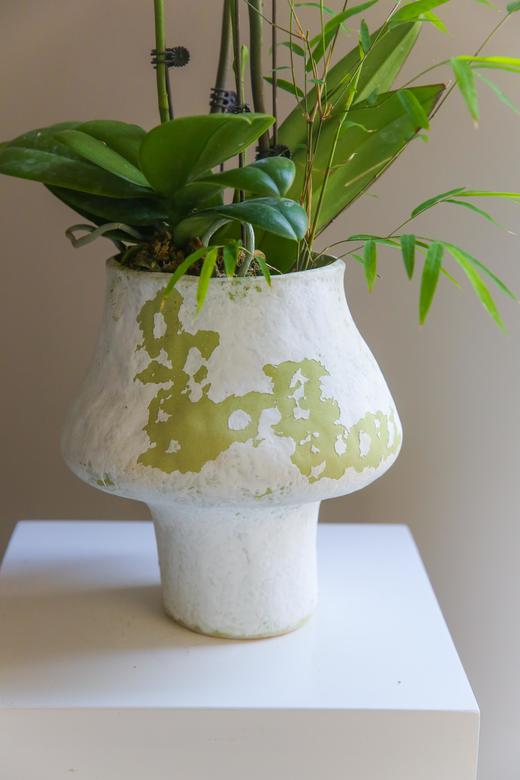 蝴蝶兰艺术组盆 商品图5