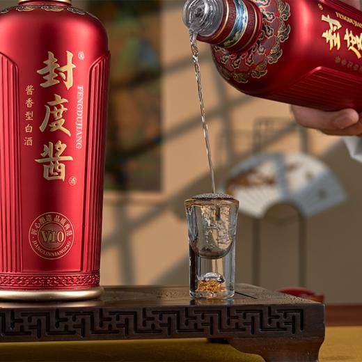 金樽吟封度酱 V10 纯粮食酒酱香型白酒 53度 商务宴请瓶装礼盒装 商品图1