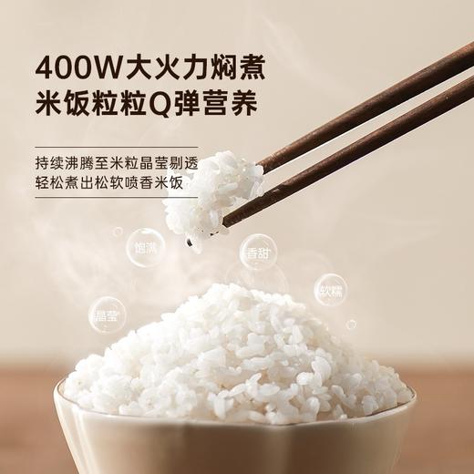 大宇低糖电饭煲FB10S 商品图1