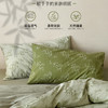 顶柔林野之风色织空气棉大提花四件套|裸睡级触感！卧室秒变东方美学 商品缩略图2