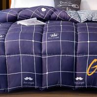 舒适保暖棉被(1.5*2米) 商品图1