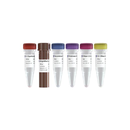 TUNEL BrightRed Apoptosis Detection Kit 商品图0