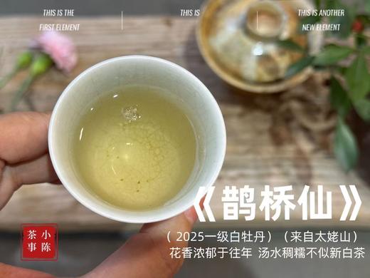 【2025春茶】2025一级白牡丹《鹊桥仙》来了，连续7年春白茶销冠，鲜、爽、清、润，香透了！ 商品图12