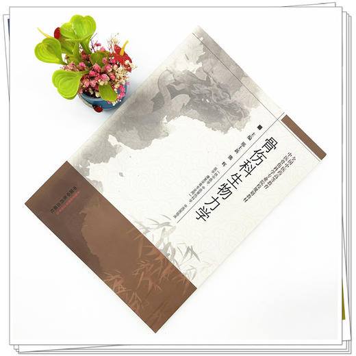 骨伤科生物力学 邢士新 熊辉 主编 全国中医药高等教育中医骨伤科学专业院校规划教材 中国中医药出版社 商品图1