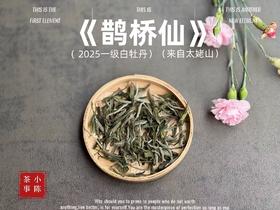 【2025春茶】2025一级白牡丹《鹊桥仙》来了，连续7年春白茶销冠，鲜、爽、清、润，香透了！