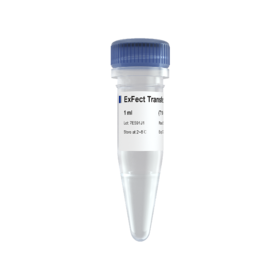 ExFect Transfection Reagent