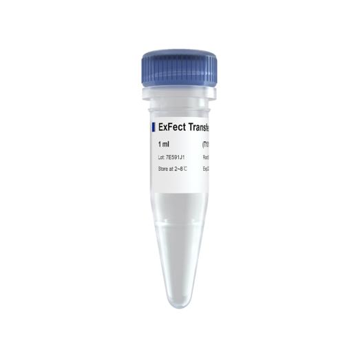 ExFect Transfection Reagent 商品图0