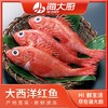 海大厨-大西洋红鱼600g（201.1023） 商品缩略图0