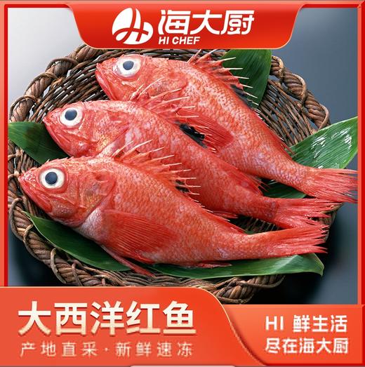 海大厨-大西洋红鱼600g（201.1023） 商品图0