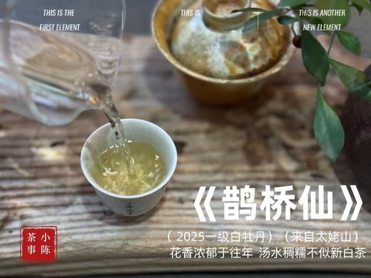【2025春茶】2025一级白牡丹《鹊桥仙》来了，连续7年春白茶销冠，鲜、爽、清、润，香透了！ 商品图13