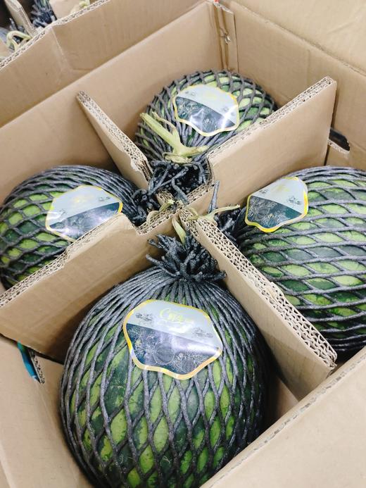 海南麒麟西瓜一个 商品图0
