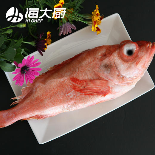海大厨-大西洋红鱼600g（201.1023） 商品图1