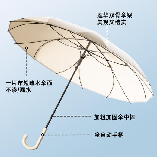 天玮莲花伞 自动款  伞骨密度大 牢牢顶住大风大雨 商品图0