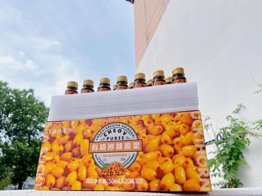 森林果园有机沙棘原浆 商品图3