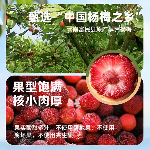 【超值特惠8罐】德和 想我了梅 杨梅罐头400g*8罐 #润 商品图3