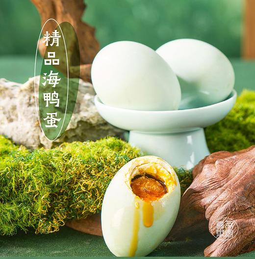 大惠企业×美团·公益  | 2025【超虎奇想】端午礼盒 商品图4