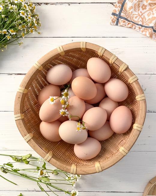 营养蛋（15枚/盒） 商品图1