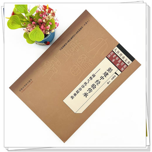 彭建中名老中医经验传承:调畅气机诊治疑难病 孙晓光 主编 中国中医药出版社 大医传承文库 名老中医经验传承系列 商品图1