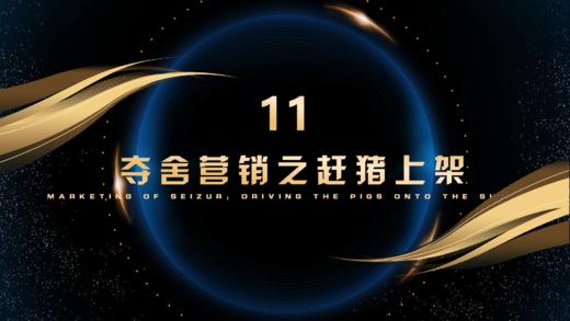 第11章   夺舍营销之赶猪上架 商品图0
