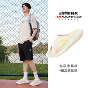 匹克2025年态极运动拖鞋男款DL520427/DL520428