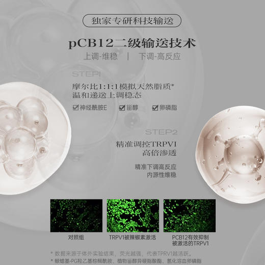 品牌直发 第十四章 修护活颜面霜 30g 商品图3