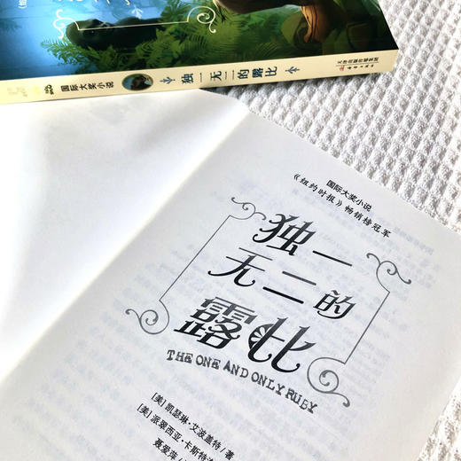 国际大奖小说--独一无二的露比 商品图3