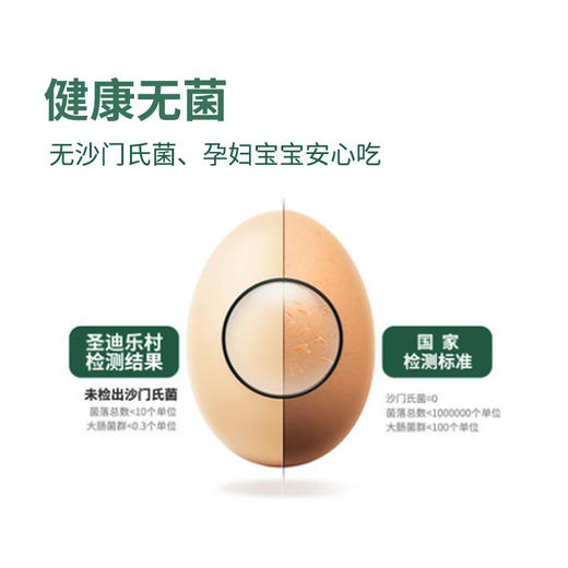 圣迪乐&新鲜轻食蛋  20枚 商品图3