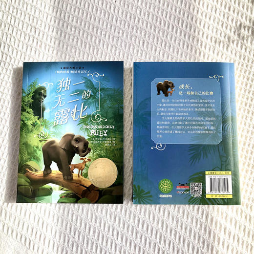 国际大奖小说--独一无二的露比 商品图2