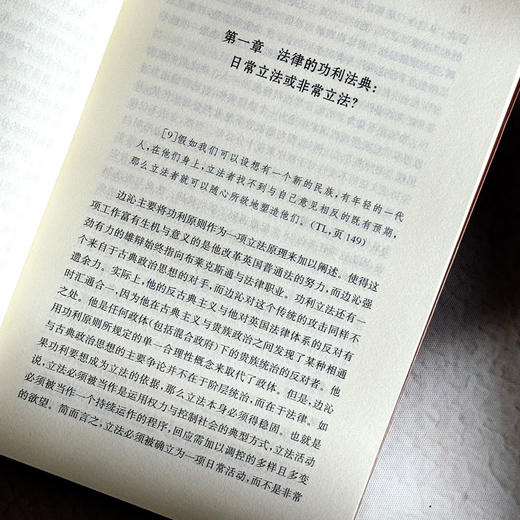 边沁的现代国家理论 欧诺弥亚 不列颠古典法学丛编 法学政治学伦理 商品图6