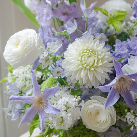 花遇和风 Lila Breeze 商品图2