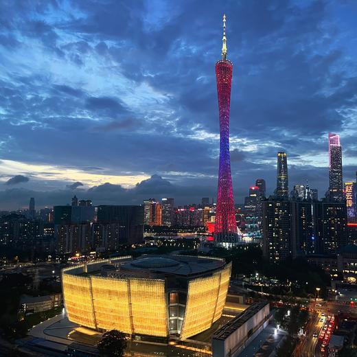 广州艺术博物院（广州美术馆）书法、国画鉴赏与临习高级研修课程 商品图2