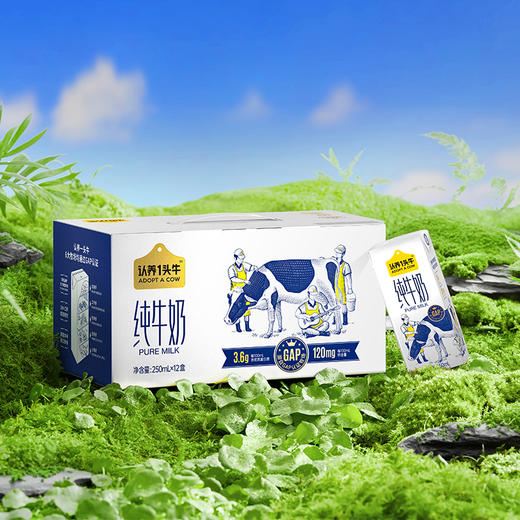 认养一头牛蛋白纯牛奶250ml*12盒3.6g蛋白 商品图2