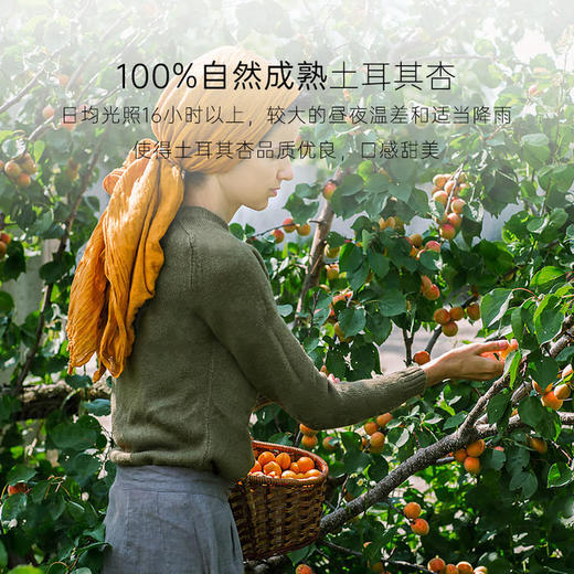 几分之几 英吉沙甜杏干/土耳其杏干 自然风味 健康零食 100g/袋 商品图5