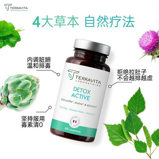 法国TERRAVITA泰乐维塔 肝脏净化胶囊 清除/排水和消除 60粒/瓶 商品图3