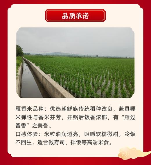 延边雁香米 /大米5kg编织袋装 商品图5