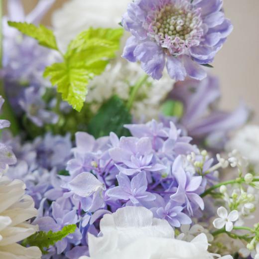 花遇和风 Lila Breeze 商品图1