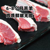 【家庭首选】【巴音布鲁克羔羊原切羊肉，精品分割】【气调锁鲜 顺丰到家】 商品缩略图7