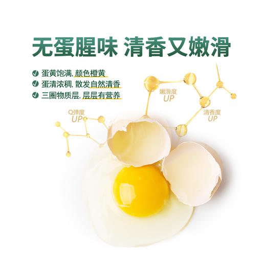 圣迪乐&新鲜轻食蛋  20枚 商品图2