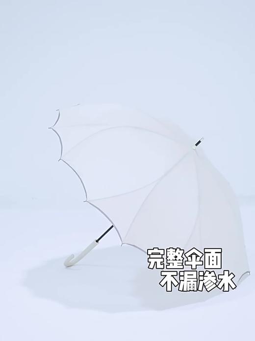 天玮莲花伞 自动款  伞骨密度大 牢牢顶住大风大雨 商品图2